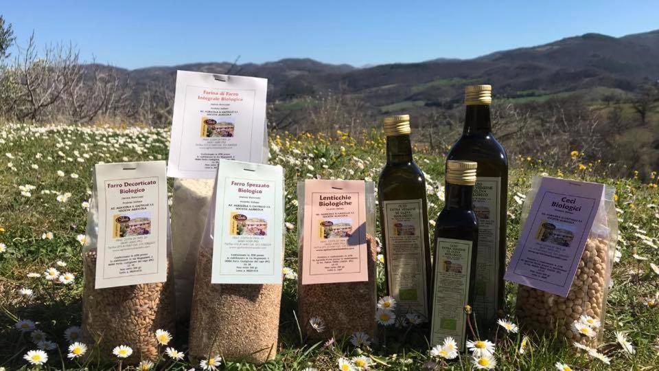 Agriturismo Il Castello Assisi Exterior foto