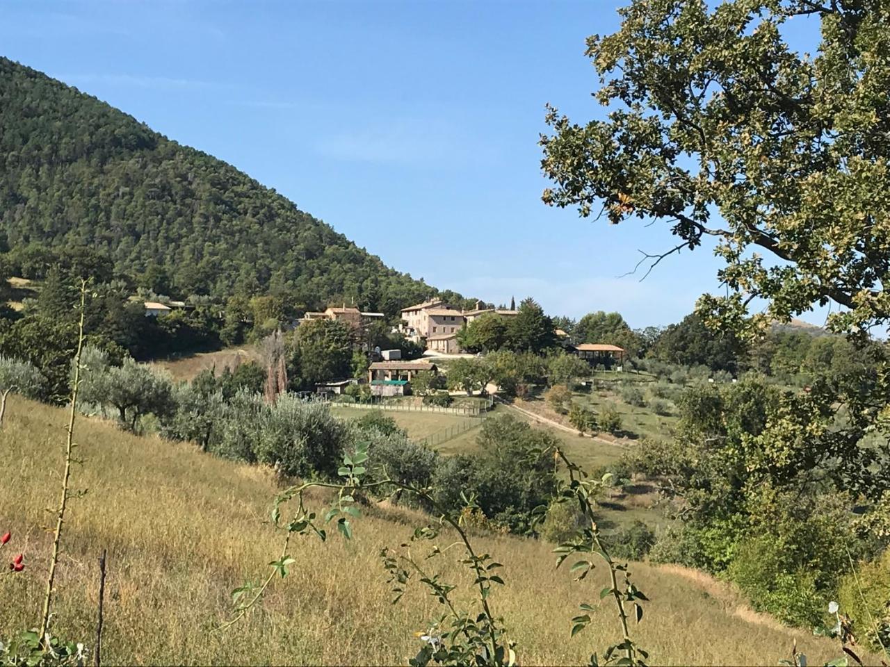 Villa Agriturismo Il Castello Assisi Exterior foto